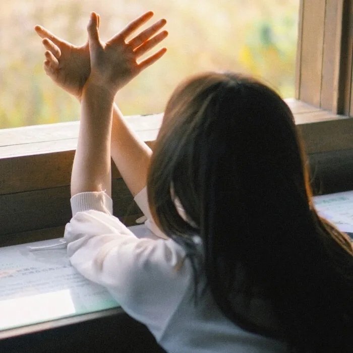 帝企鹅日记2：召唤